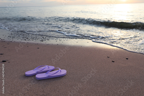 Stylish lilac flip flops on sand near sea. Space for text