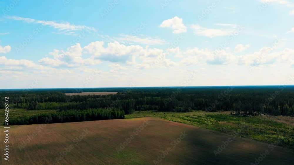 flying over harvest field, aerial shot from drone, inspirational freedom sunset, yellow autumn, oak trees flying over harvest field, aerial shot from drone, inspirational freedom sunset, yellow autumn, oak trees