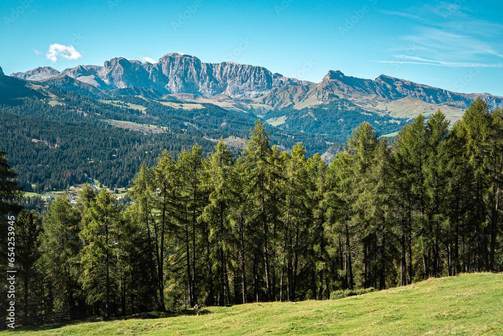 landscape in the mountains and trees