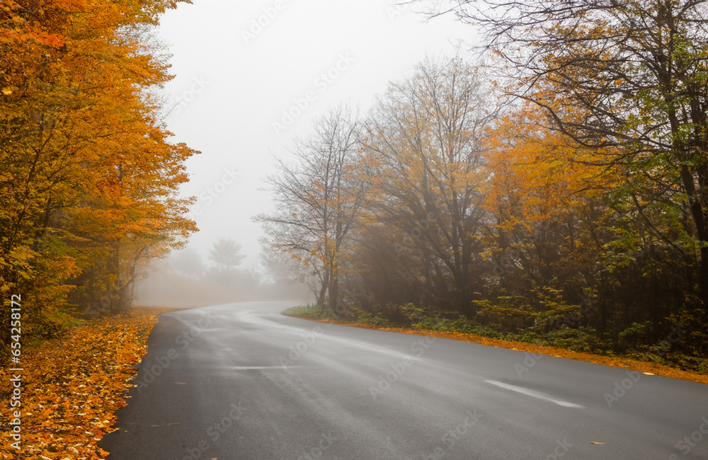 Atmospheric and very beautiful long road without car in autumn season with colored trees and foggy weather