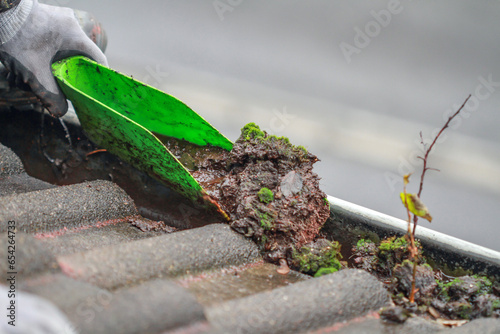 Photos Gutter_Cleanup