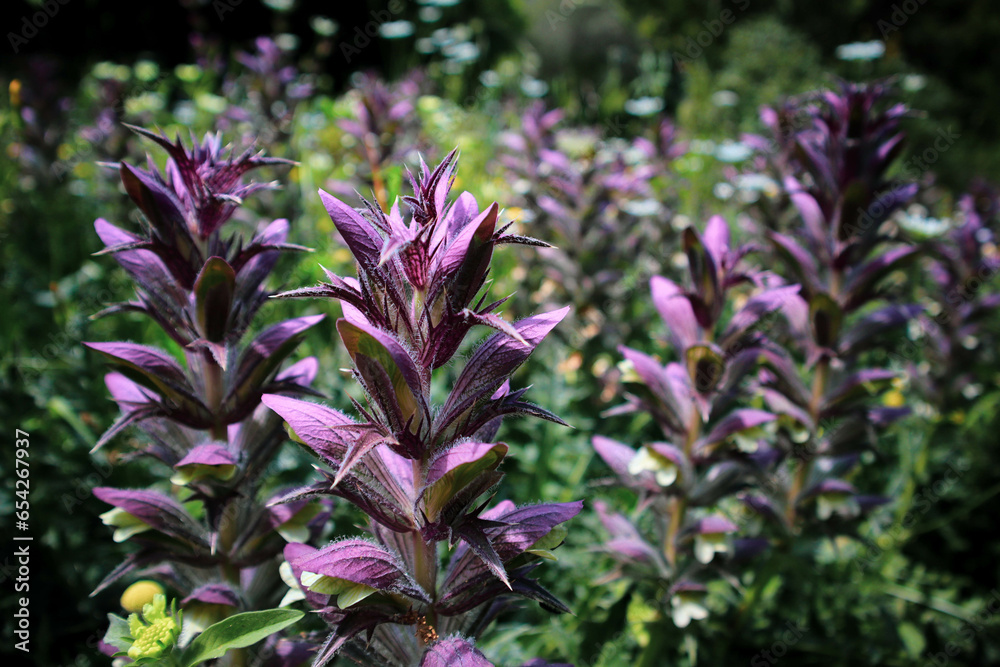 Obraz premium Spikey bundle of pyramid bugles 2