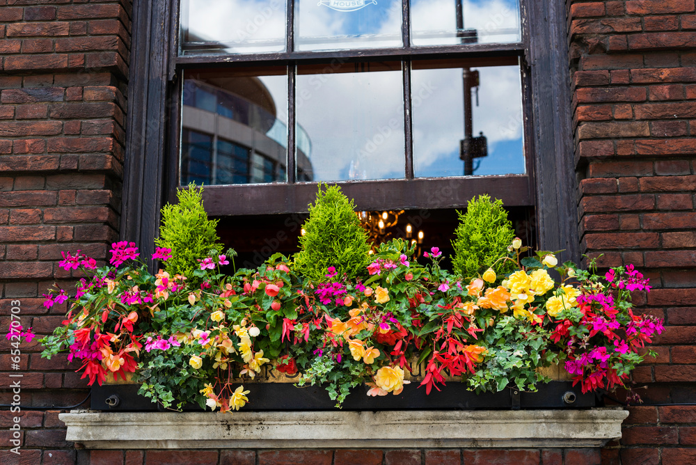 Closeup view of brick brown wall by window potted plant in aged weathered basket pot outside on window sill with lavender, blue salvia and geranium colorful flowers Beautiful summer day , London UK. Closeup view of brick brown wall by window potted plant in aged weathered basket pot outside on window sill with lavender, blue salvia and geranium colorful flowers Beautiful summer day , London UK.
