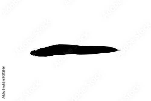 Silhouette of the fire eel (Mastacembelus erythrotaenia) is a relatively large species of spiny eel, can use for art Illustration, logo type, pictogram, website, or graphic design element. Vector 