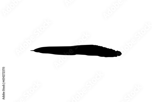 Silhouette of the fire eel (Mastacembelus erythrotaenia) is a relatively large species of spiny eel, can use for art Illustration, logo type, pictogram, website, or graphic design element. Vector 