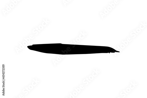 Silhouette of the fire eel (Mastacembelus erythrotaenia) is a relatively large species of spiny eel, can use for art Illustration, logo type, pictogram, website, or graphic design element. Vector 