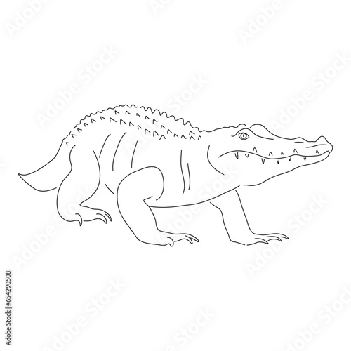 Sketch drawing of a Alligator isolated on a white background. Vector editable stroke.