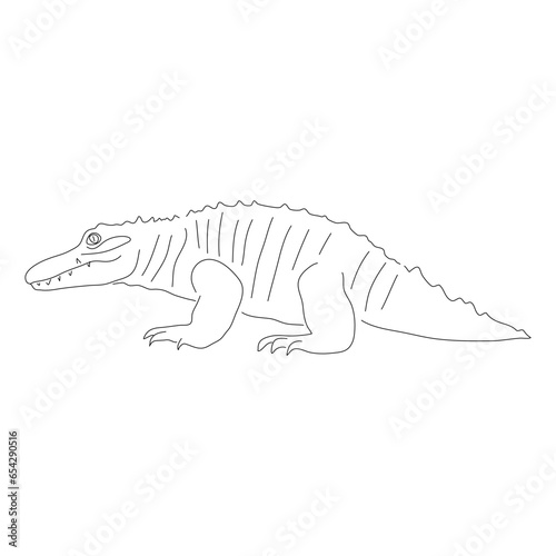 Hand-drawn Alligator. Vector editable stroke.