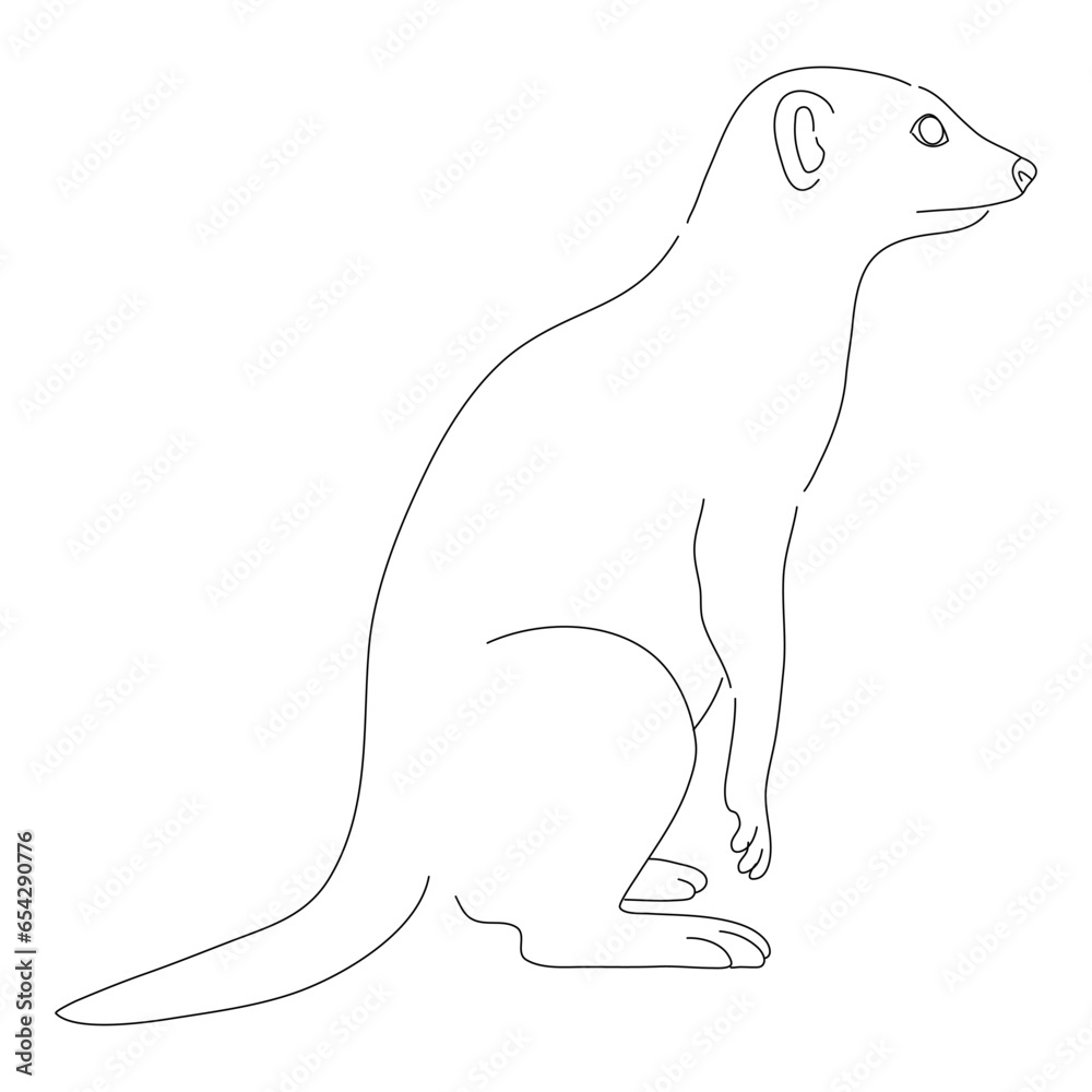 Obraz premium Hand-drawn Meerkat. Vector editable stroke.