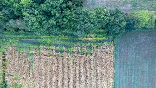 Experience the breathtaking beauty of the countryside from above with this panoramic aerial view. Fields of yellow-green corn stand alongside lush agricultural plots  creating a colorful and expansive