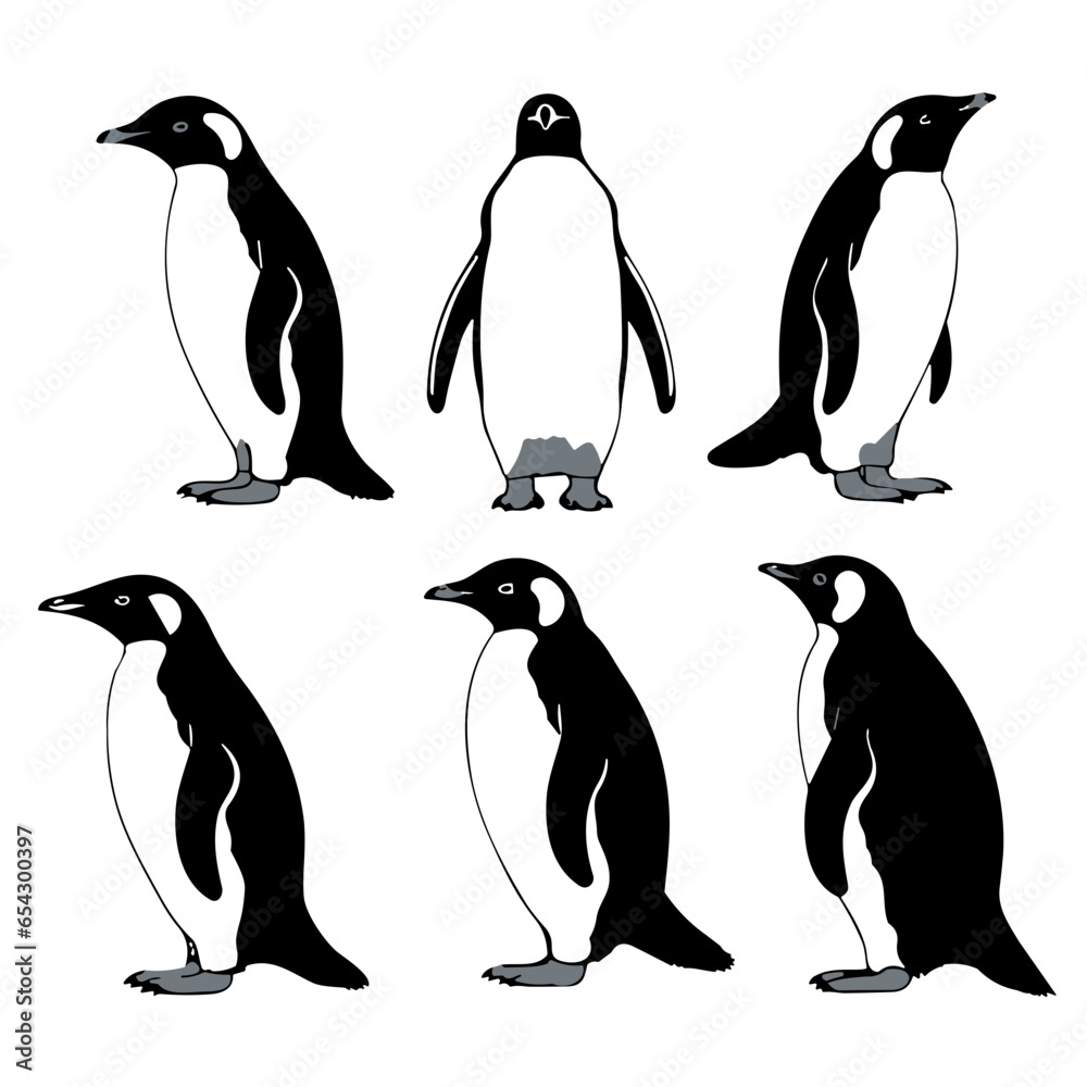 Fototapeta premium set of penguins