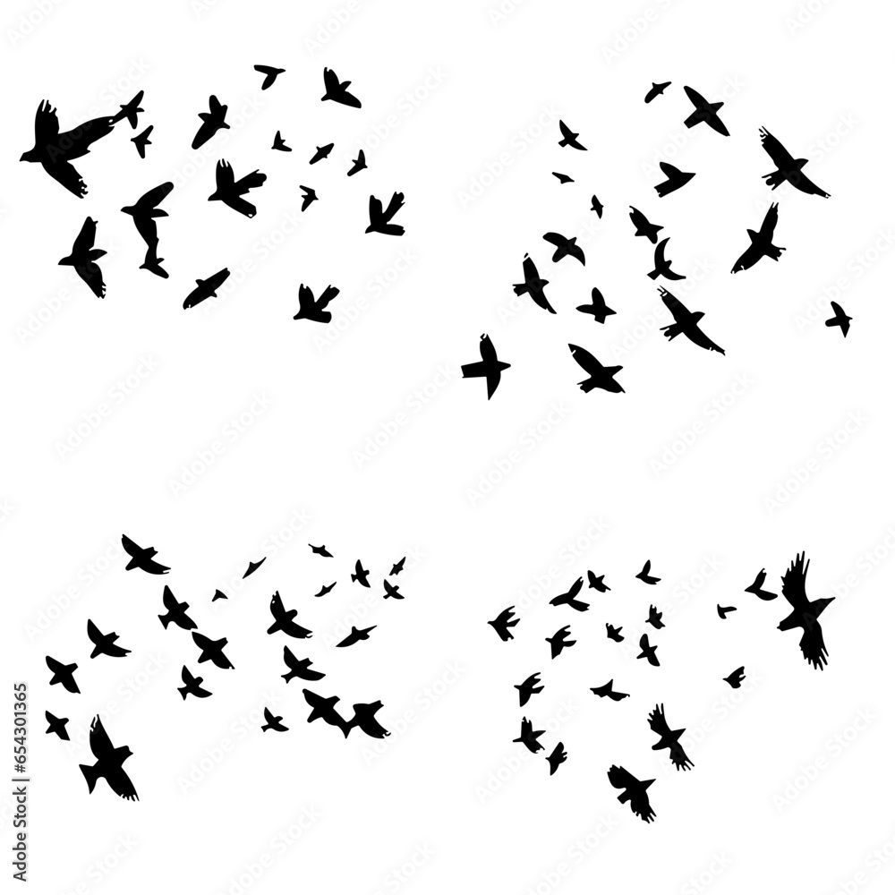 Flock of Birds Flock of Birds