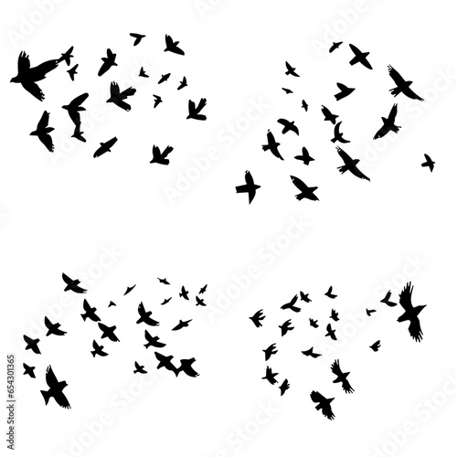 Flock of Birds