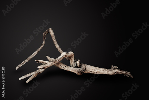 Dry tree branch isolated on black background.