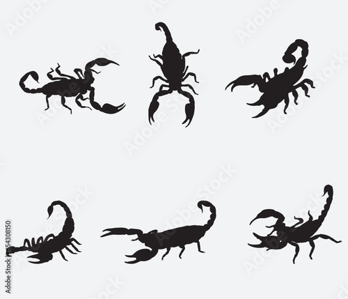 Set of Scorpion Silhouette Vector Art on White Background © tabon