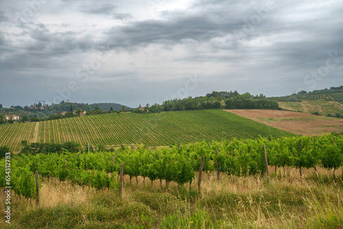 Vineyards of Chianti near Poggibonsi
