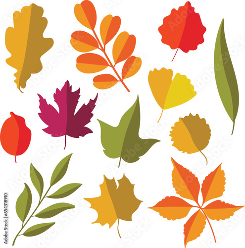 Illustrations of Autumn leaves set Simple cartoon flat style