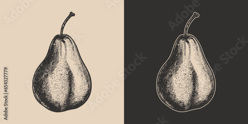 Set of vintage retro woodcut linocut engraving gravure sketch organic eco pear. Can be used like emblem, logo. mark, poster or print. Monochrome Graphic Art. Vector. Hand drawn element in antique