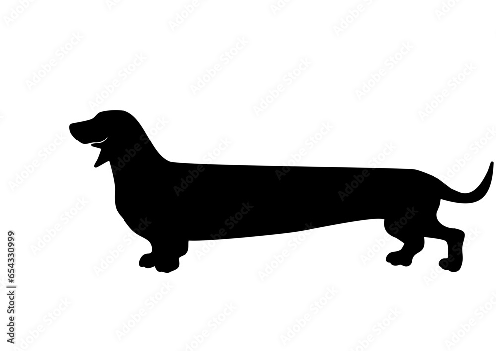 cute long Dachshund SVG vector cut file for cricut
