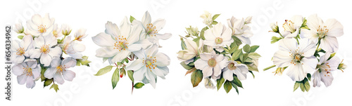 white  flower On a transparent background cutout. © Thanaphat