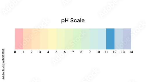 Ph scale diagram, Ph scale vector graphic, Acid to base, pH scale Infographic acid-base balance, Indicator diagram acidic alkaline measure isolated on white background illustration