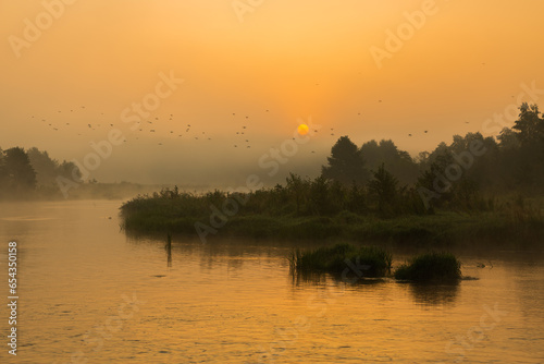 Rzeka Pilica. Mysiakowiec (woj. łódzkie) © R.Jaszczynski