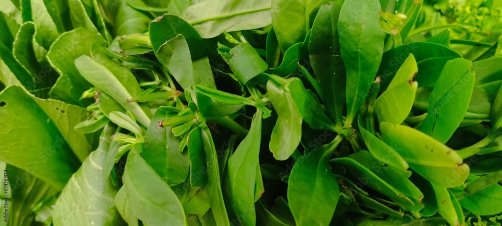 Close up of green vegetables and fruits for background Close up of green vegetables and fruits for background