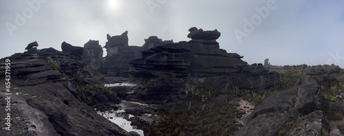 Summit of Mount Roraima, surreal area of volcanic black stones, Canaima National Park, Venezuela, South America