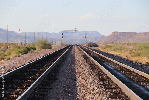 Desert train crossing