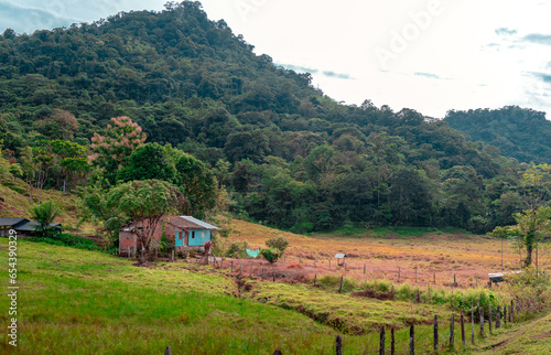 Hermoso paisaje verde con arboles y montañas que rodean casa campesina photo