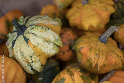 pumpkings getting ready for halloween