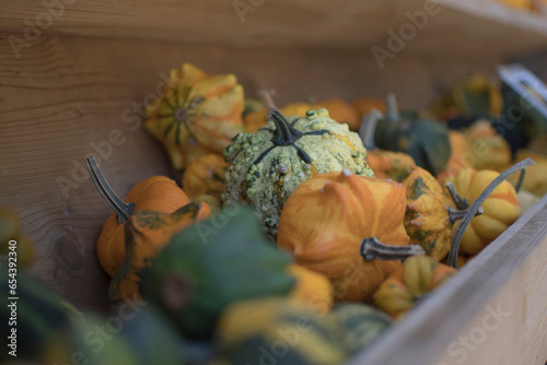 pumpkings getting ready for halloween