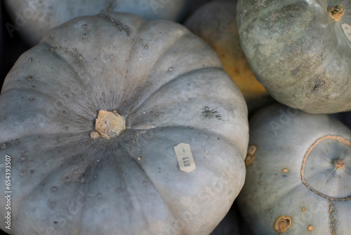 pumpkings getting ready for halloween