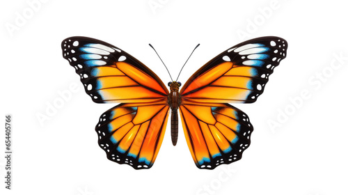 butterfly isolated on transparent background 