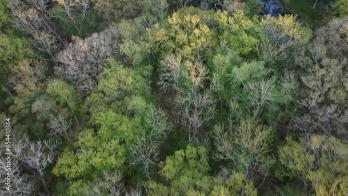 Lighthorne woods drone shot