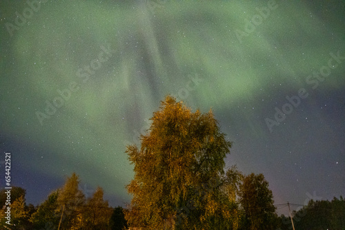 Aurora     Nordlichter     Lappland 