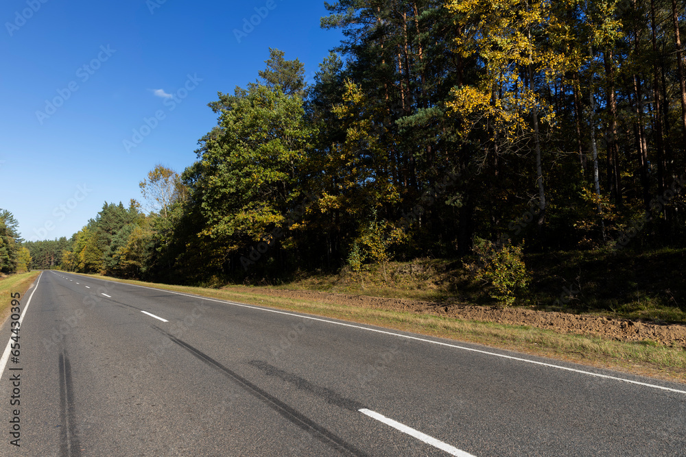 Fototapeta premium Paved road in the autumn season in sunny weather