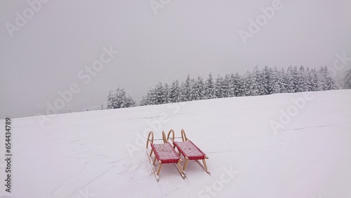 Rodeln in the snow