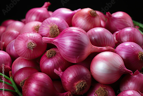 Red purple Onions variety