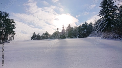 winter wonderland