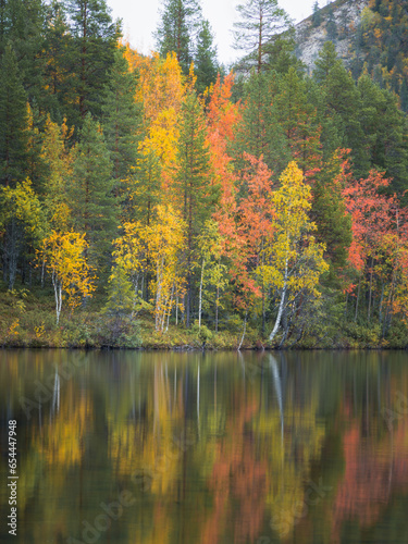 Autumn Colors By The Lake