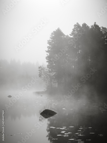 Misty Morning