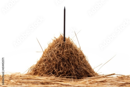 White background isolation of needle in haystack photo