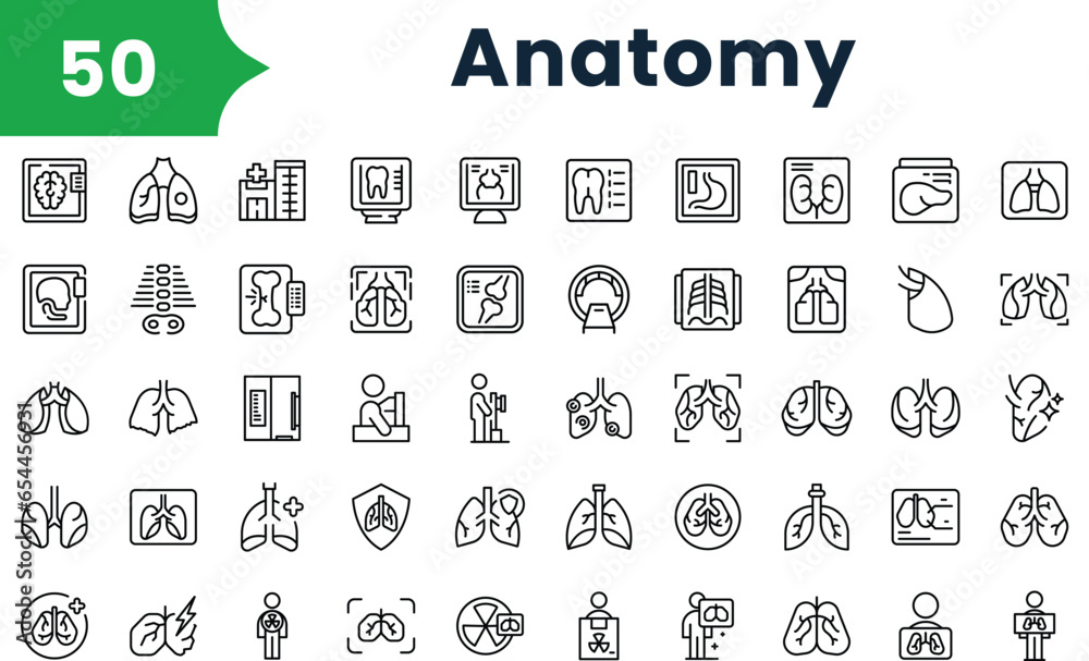 Set of outline anatomy icons. Vector icons collection for web design, mobile apps, infographics and ui