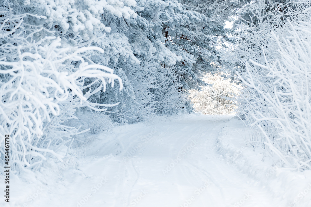 winter road between trees covered with branches with snow and frost