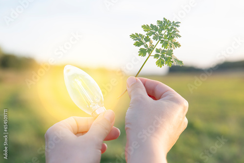 Savings and green energy. Glowing light bulb and a young plant in a person's cups.