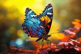Closeup of a butterfly taking off with colorful wings