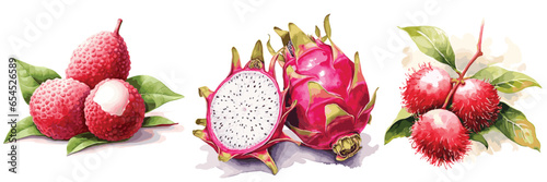 Set of Tropical Fruit. Hand drawn, hand painting on paper colorful set of fruit with paint splashes. Isolated on white background watercolour vector illustrations. Dragon fruit, lychee, rambutan