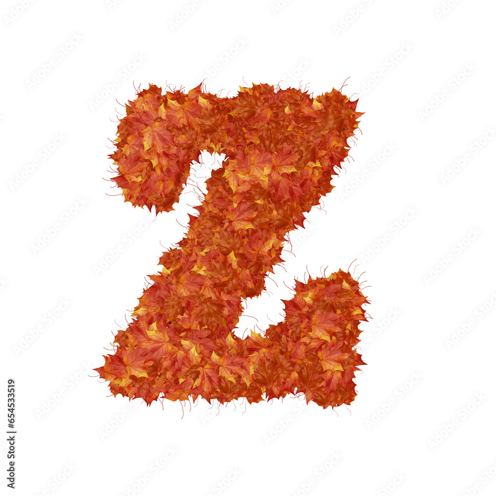 Symbol from autumn redheaded leaves. letter z Symbol from autumn redheaded leaves. letter z