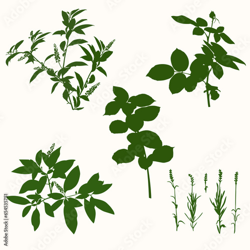 A set of different plants made in the form of silhouettes